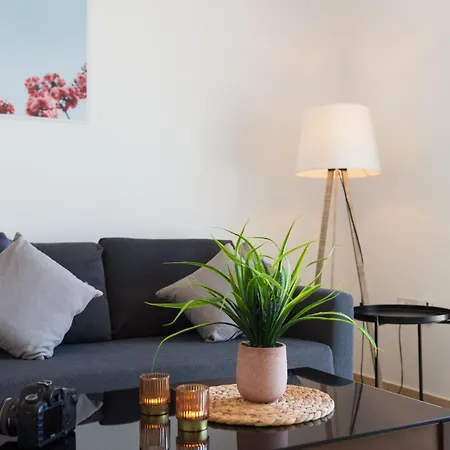 Artemis Cynthia Complex 아파트