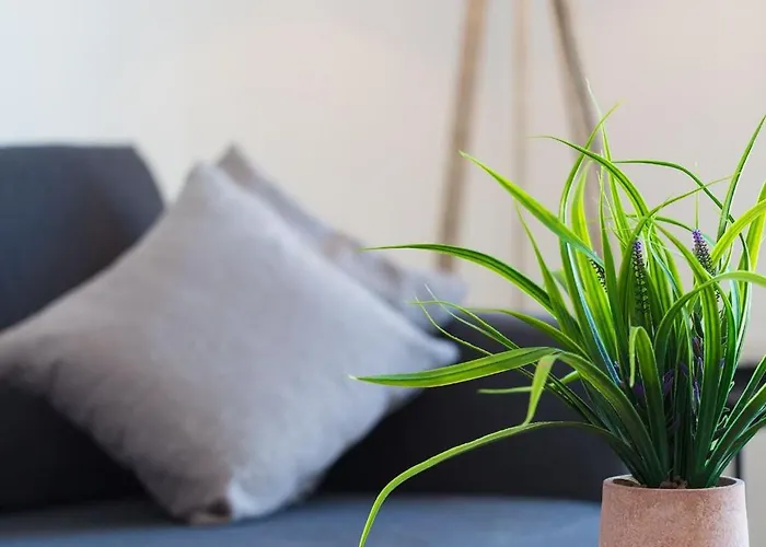 Artemis Cynthia Complex *