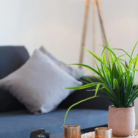 Artemis Cynthia Complex *